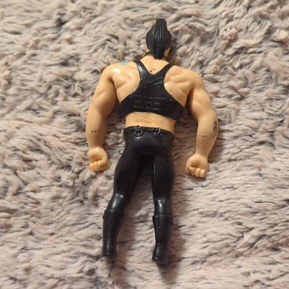 WWE Sasha Banks Action WWF Chyna Bend 'Ems & Ricky The Dragon Steamboat Vintage - Picture 11 of 12